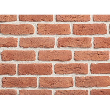 Декоративна тухла Жава Котто