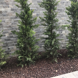 Травертин за стена - Силвър Лайндроу 14х42 см - 2 6