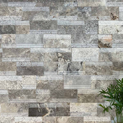 Травертин за стена - Силвър Лайндроу 14х42 см 4