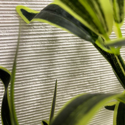 Варовик Лимра Линеа 10х28 см 3